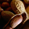 Peanut